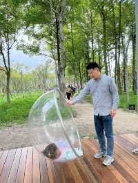 堪比免費版兔窩窩魔都新開兒童樂園太捲了