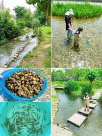 成都遛娃｜捞鱼、摸虾、玩水寶藏公園||