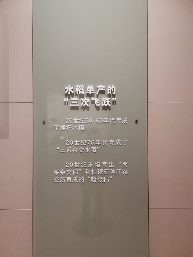 全國農業展覽館