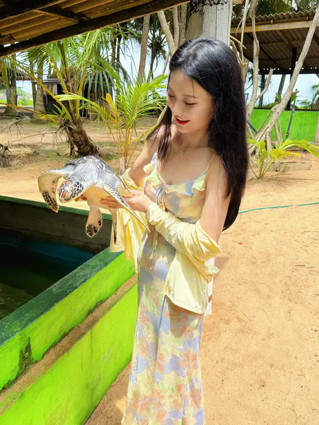 You must take a train ride in Sri Lanka at least once | The little train on the sea