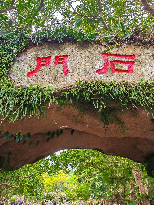 五月去海南海口吧，亲測這座好玩浪漫的城市
