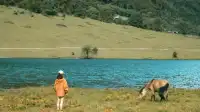 呼倫貝爾小眾景點寶藏清單，輝河濕地必打卡