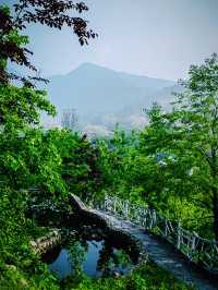 逃離城市24小時