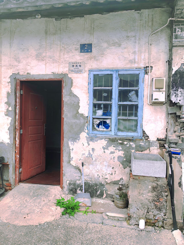 上海松江 | 西林禅寺徒步，遇見不一樣的風景