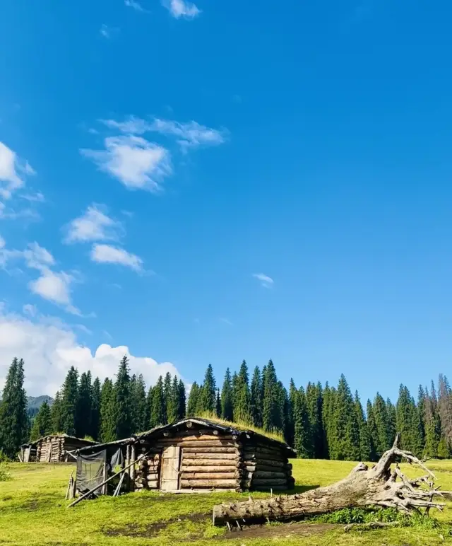 Xinjiang | Heidi and Grandpa's matching log cabin
