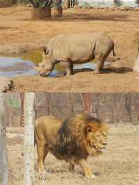 沈陽森林動物園