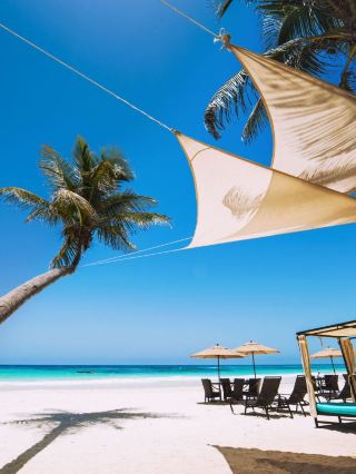 🌴✨ Tulum's Top Stay: Heavenly Suites & Smiles 🏖️🍹