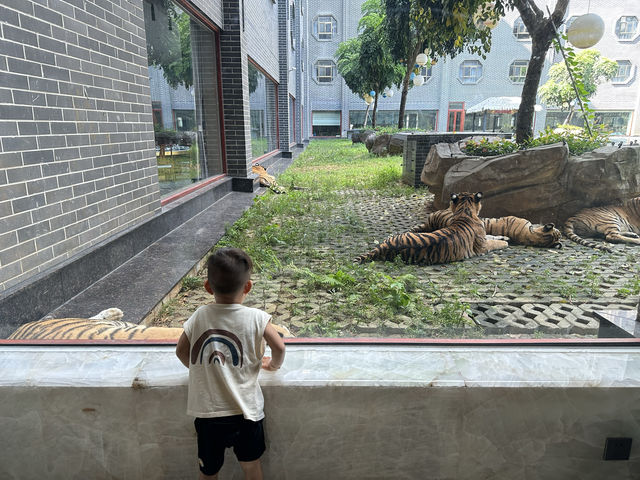 九月錯峰去平南雄森動物大世界體驗包場的快樂
