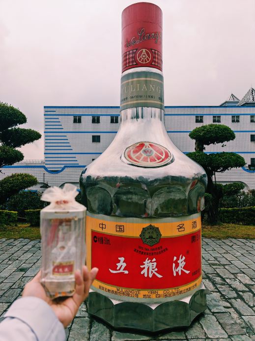 宜賓| 濃香型的五糧液酒廠｜Trip.com 宜賓