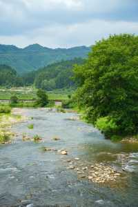 藏在浙南古村里的大魚海棠真的很怕它火