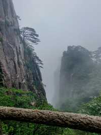 A Rainy Weekend in Huangshan