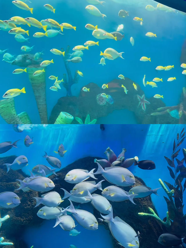 體驗一次難忘的2日海洋之旅。