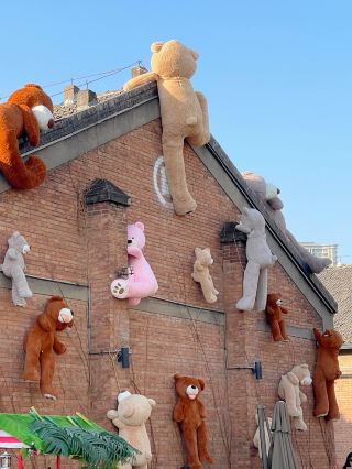 The climbing bears are so cute! There are also bears climbing trees.