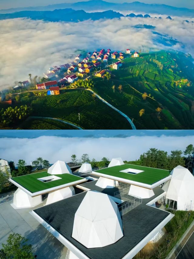天空之城雲端上的仙境又仙又野又避世~。