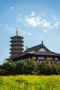 吉林長春北湖濕地公園｜一幅充滿生機與活力的畫卷。