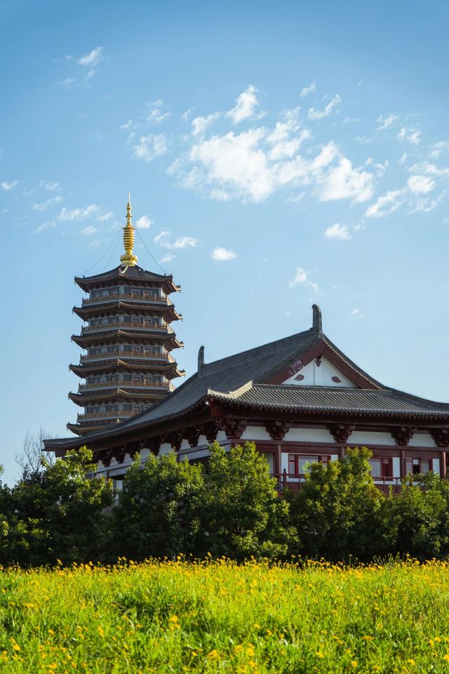 吉林長春北湖濕地公園｜一幅充滿生機與活力的畫卷。
