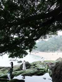 廈門｜鼓浪嶼｜陰天的鼓浪嶼別有風味
