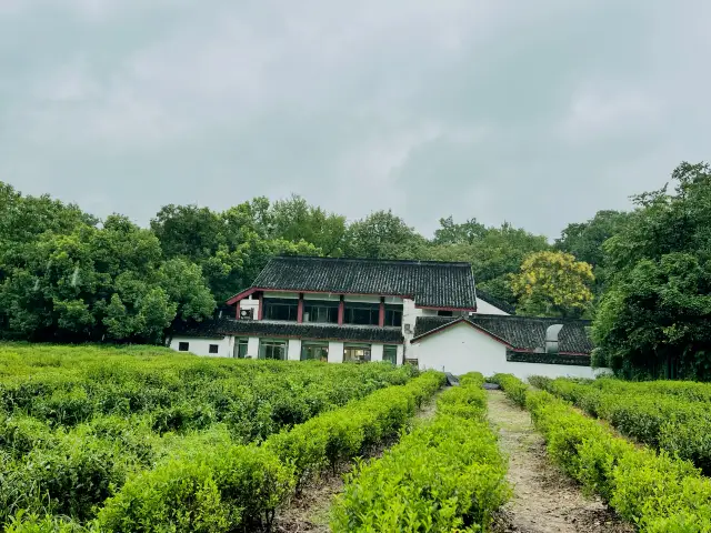The World's No. 1 God of Wealth Temple, Uncle Xiao Ming has been here. 