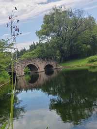 上海青年旅舍森林公園 | 城市中的綠野仙境。
