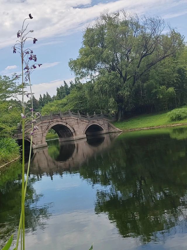 上海青年旅舍森林公園 | 城市中的綠野仙境。 上海青年旅舍森林公園 | 城市中的綠野仙境。