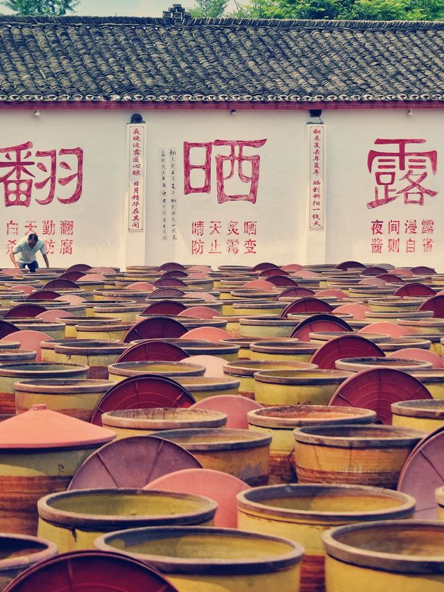 巴適得很呀！