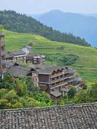 福建聯合梯田｜梯田賞金黃麥田。