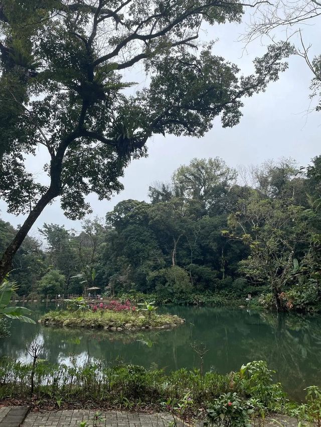 百花嶺。