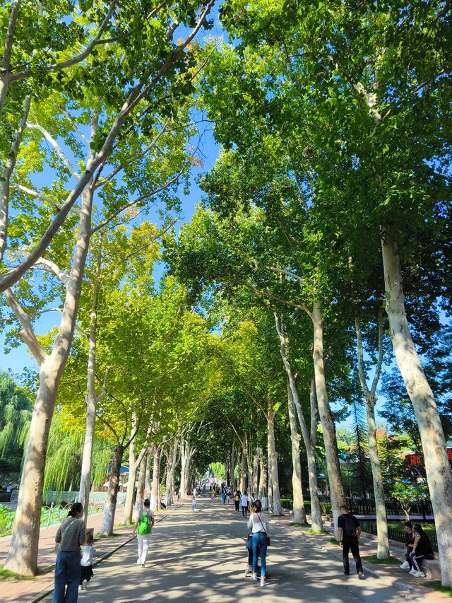 濟南動物園，太陽城。