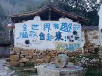 保定貓村｜去有貓的地方。