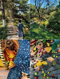 帶孩子在植物園裏撿「垃圾」。