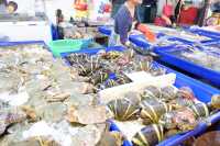 芭堤雅海鮮市場遊覽。