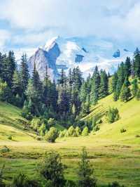 走,帶你進入宮崎駿的漫畫世界。。