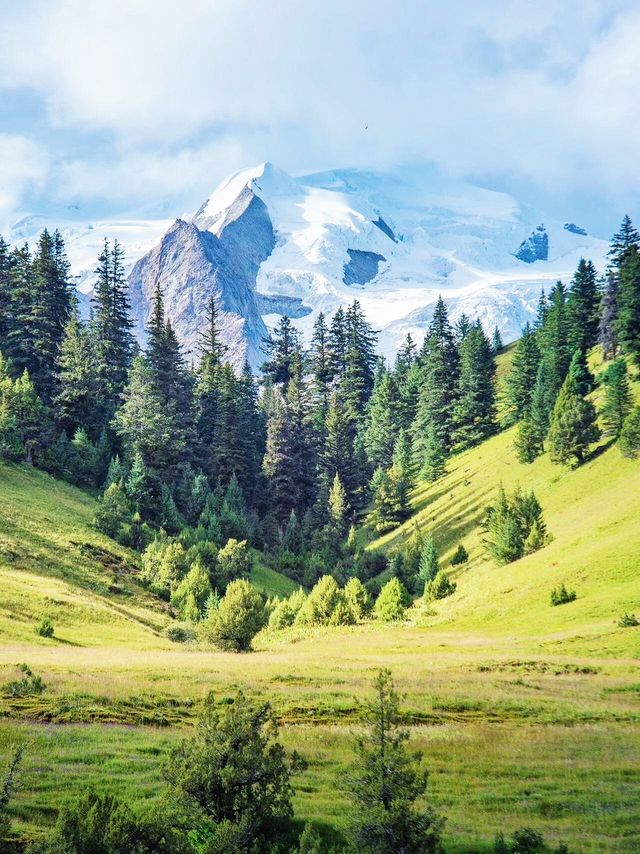 走,帶你進入宮崎駿的漫畫世界。。 走,帶你進入宮崎駿的漫畫世界。。