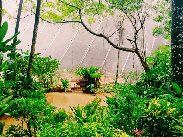 Unique Preserve: Adward Youde Aviary