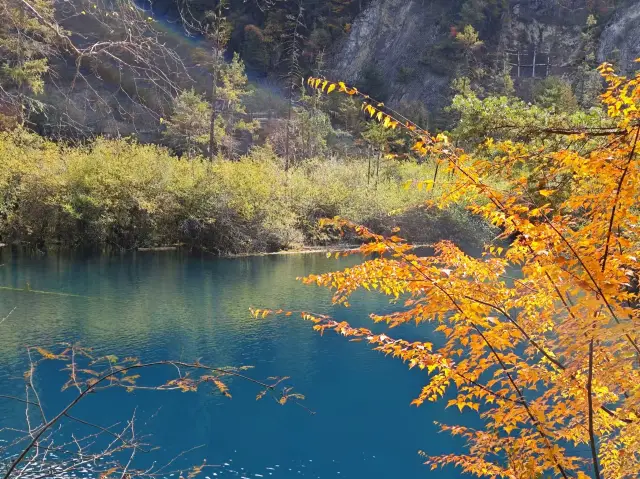 Today's Jiuzhaigou on October 28.