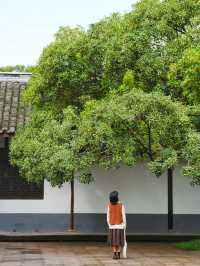 成都新都藏着東方斜塔，聽說特別靈～。