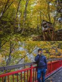 比京都小眾！走進札幌動漫裡的秋天。