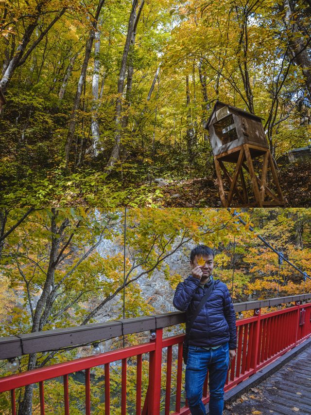 比京都小眾！走進札幌動漫裡的秋天。
