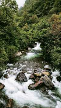 四川黑竹溝國家森林公園：探秘中國的「百慕大」。