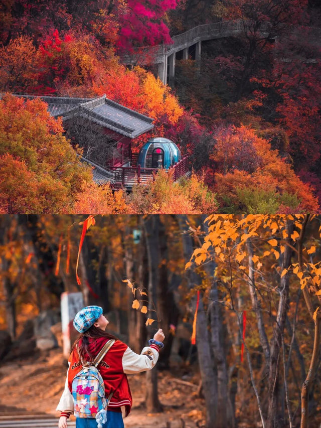 花14.5就能逃離西安被雲裡霧裡的秋天。