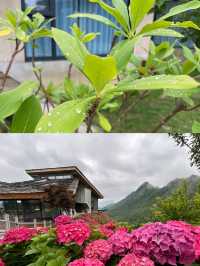 在山雲霧中隱居鄉里花婆婆。