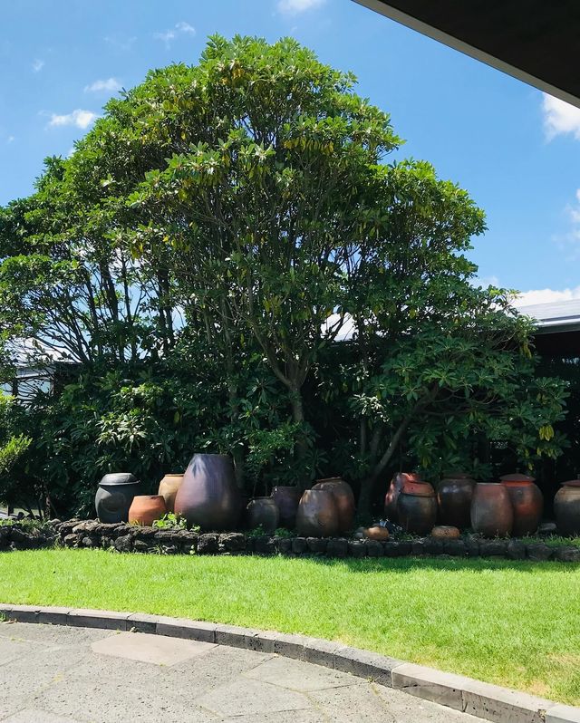 《濟州島波多酒店：身心棲息的夢幻之所》。