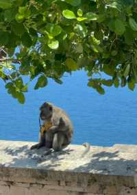 Must-Visit Spots in Bali: Discover the Mystical Rituals at Uluwatu Temple