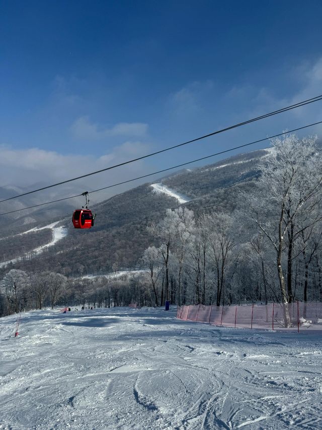 吉林北大湖|這粉雪，誰頂得住！。