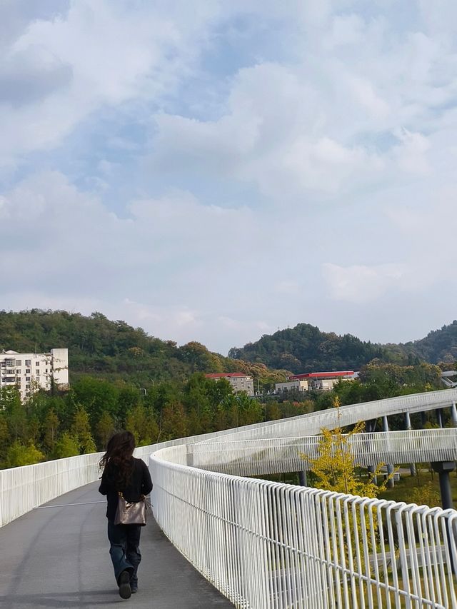宜昌卷橋河 | 隱匿於城市的詩意綠洲 。