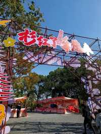 虎丘濕地公園探秘 | 水杉仙境究竟藏在哪？。