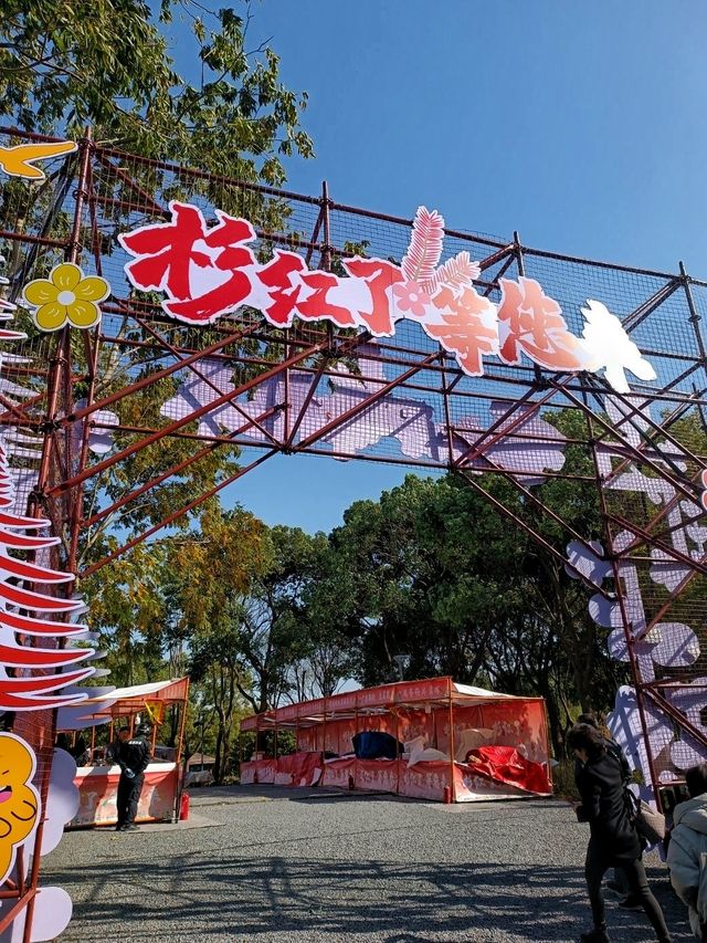 虎丘濕地公園探秘 | 水杉仙境究竟藏在哪？。