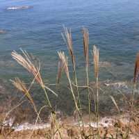煙台2日行程推介
