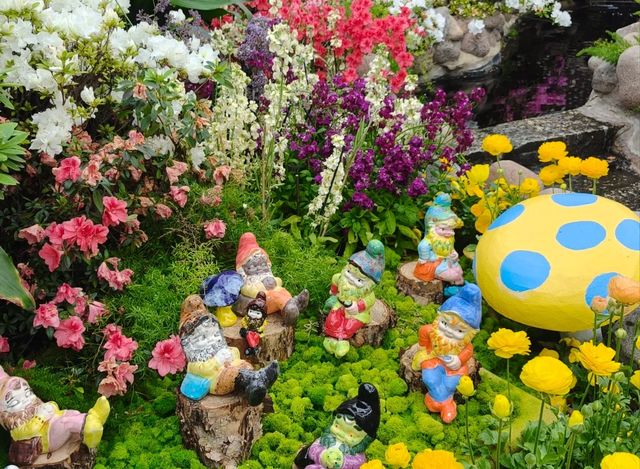 芝加哥林肯公園溫室植物園：自然的魅力之旅
