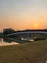 陳村新開發的公園！露營釣魚放風箏踩單車一園俱全